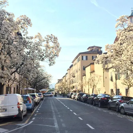 Casa Anfiteatro Apartment Lucca
